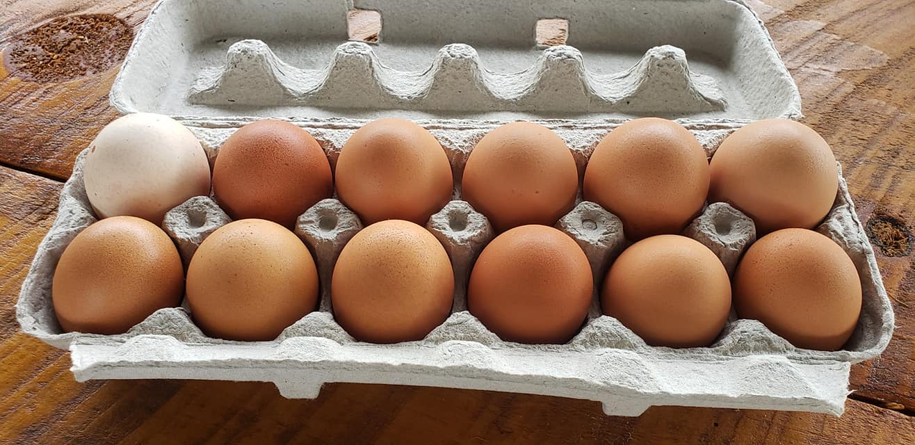 A carton of brown eggs.
