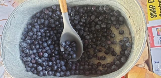 A spoon dipped into a bowl of blueberries.