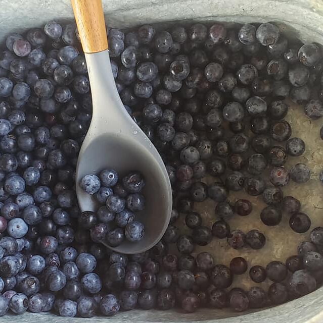 Spoon dipped into bowl of blueberries
